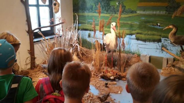 FB_IMG_1444376496579